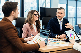 Big 4 Consultancies
