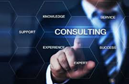 Recruiting Consultancies